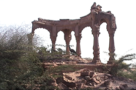 ancient ruins and desi babool bush
