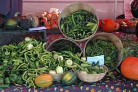 local organic produce
