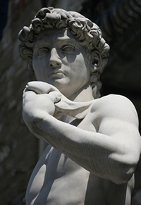 Michelangelo's David Michelangelo's David