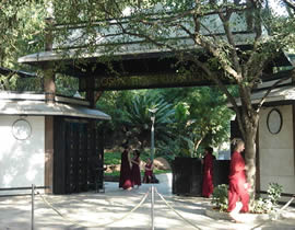 Osho Meditation Resort, Pune, India