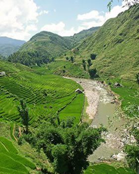 Sapa