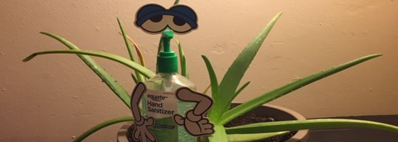 hand sanitizer with aloe by Brook Bhagat