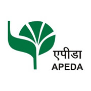 APEDA logo