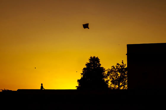boy flying kite in Pushkar 