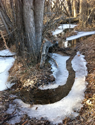 icy muddy stream