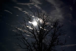 mysterious full moon