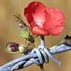 barbed flower
