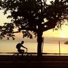 bicycle silhouette