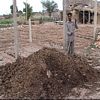 cowdung used as organic fertilizer