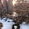 mountain stream and sun