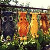 macramé owls
