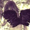 wings